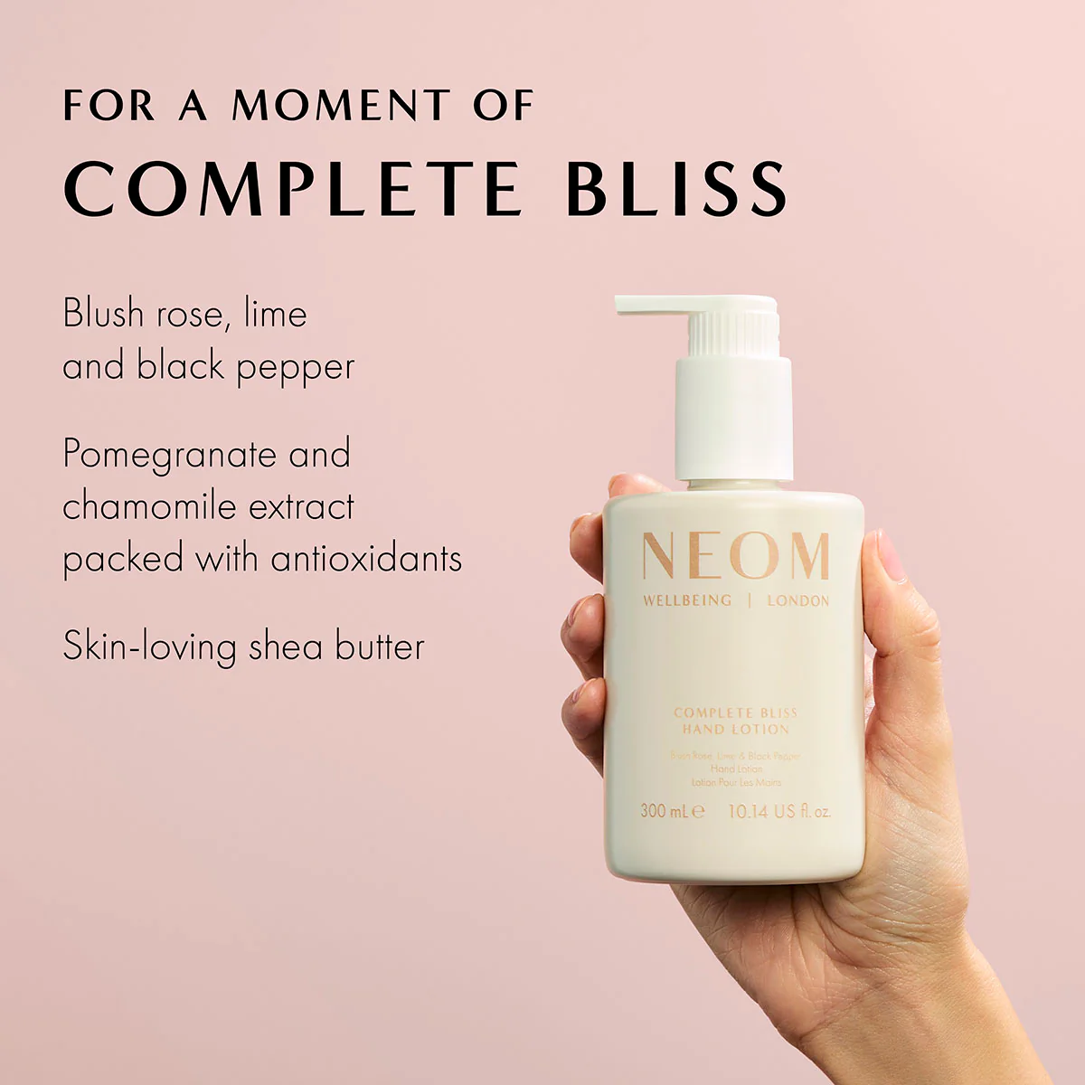 Complete Bliss Hand Wash & Lotion Duo - Image 4