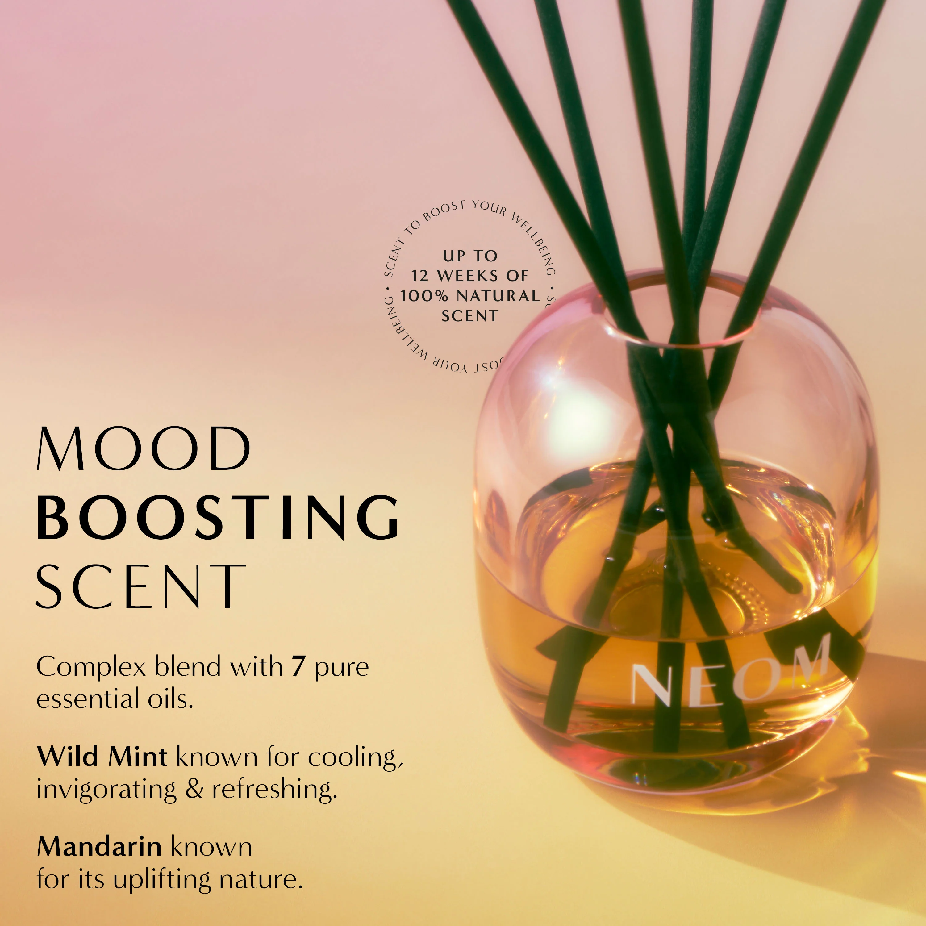 Great Day Reed Diffuser - Image 2