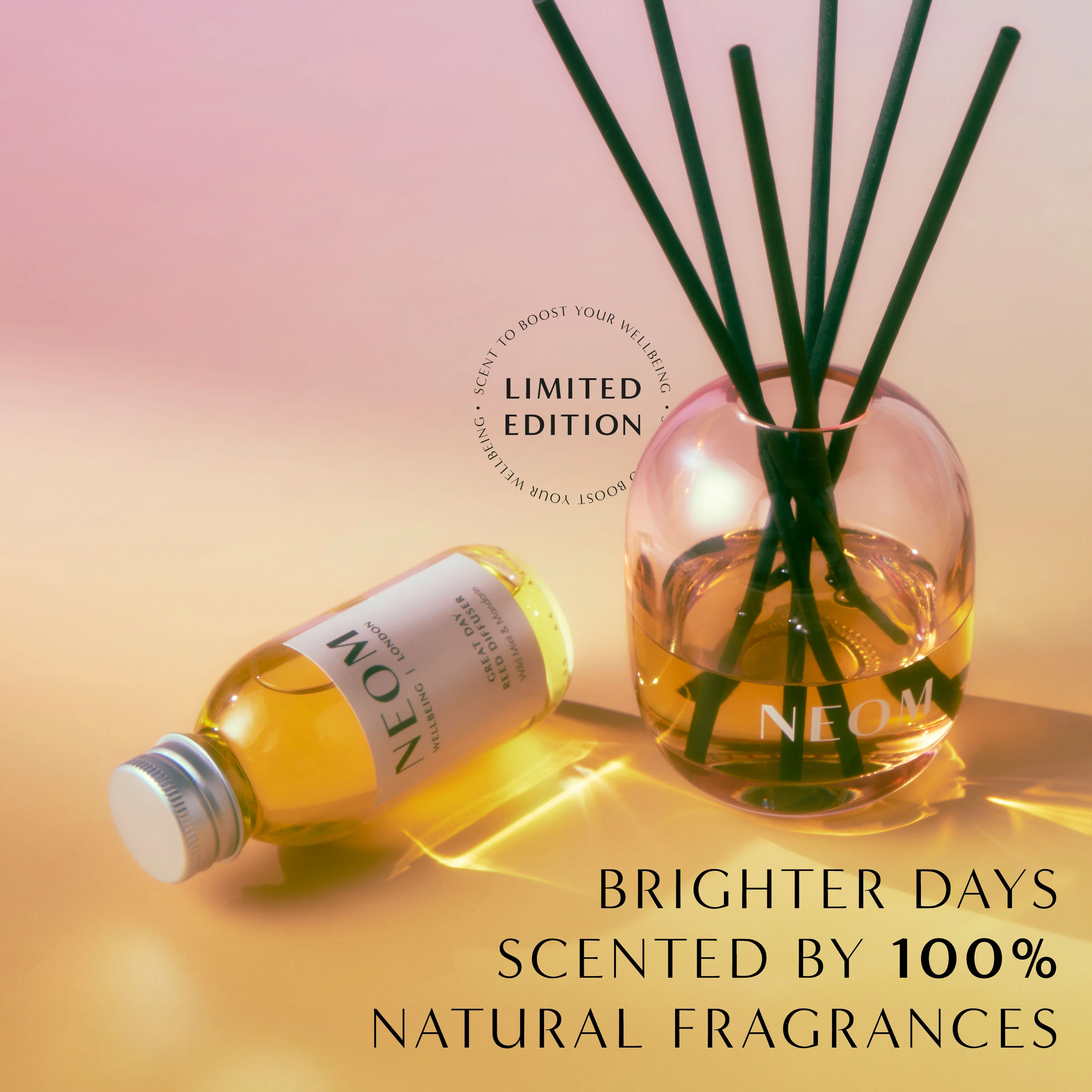Great Day Reed Diffuser - Image 4
